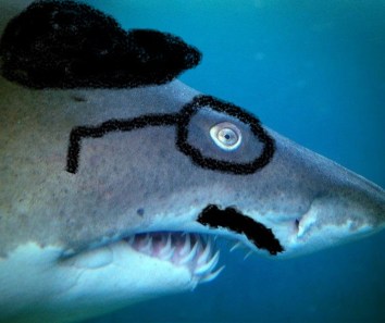 cropped-shark-in-disguise.jpg